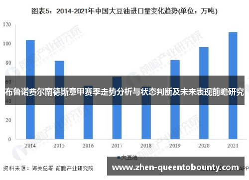 布鲁诺费尔南德斯意甲赛季走势分析与状态判断及未来表现前瞻研究